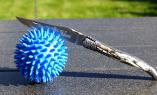 Taschenmesser Laguiole du Barry, Edition GRACE 02, Mammutelfenbein, brosse, guillochierte Biene Ansicht 1