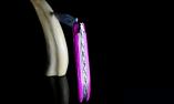 Taschenmesser Laguiole du Barry, PINK SUN, Giraffenknochen, Plein, guillochierte Biene Ansicht 1