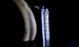 Taschenmesser Laguiole Du Barry, SILVER NIGHT 03, Carbongriff, Plein, guillochierte Biene, brillant Ansicht 1