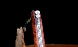 Taschenmesser Laguiole du Barry VIOLON, guillochierte Biene, brillant, Plein, Eisenholz Ansicht 1