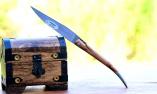 Taschenmesser Laguiole en Aubrac, Aubracien, Wacholder Ansicht 1