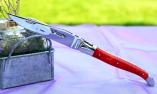 Taschenmesser Laguiole en Aubrac, brillant, JUMA 03, Orange, glänzend, guillochierte Biene Ansicht 1
