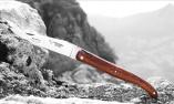 Taschenmesser Laguiole en Aubrac, Edition BELLE 32, Eisenholz+Abalone, Plein, guillochierte Biene, brosse Ansicht 1