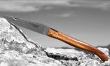 Taschenmesser Laguiole en Aubrac, Edition BELLE 33, Aubrac Buchenholz, Plein, guillochierte Biene, brosse Ansicht 1