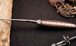 Taschenmesser Laguiole en Aubrac, Edition Muttererde 02, Aubracerde, guillochierte Biene, brosse Ansicht 3