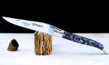 Taschenmesser Laguiole en Aubrac, Edition ORGANIC 03, Muschel, guillochierte Biene,brillant Ansicht 1
