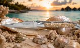 Taschenmesser Laguiole en Aubrac, Edition ORGANIC 06, TROCHUS Schnecke, guillochierte Biene, brosse Ansicht 1