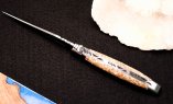 Taschenmesser Laguiole en Aubrac, Edition ORGANIC 06, TROCHUS Schnecke, guillochierte Biene, brosse Ansicht 2