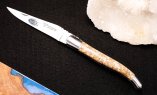 Taschenmesser Laguiole en Aubrac, Edition ORGANIC 06, TROCHUS Schnecke, guillochierte Biene, brosse Ansicht 3