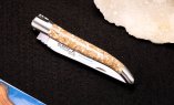 Taschenmesser Laguiole en Aubrac, Edition ORGANIC 06, TROCHUS Schnecke, guillochierte Biene, brosse Ansicht 4