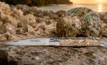 Taschenmesser Laguiole en Aubrac, Edition ORGANIC 05, TURBO Schnecke, guillochierte Biene, brosse Ansicht 5