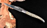Taschenmesser Laguiole en Aubrac, Edition ORGANIC 08, TURBO Schnecke, Double Platines, brosse Ansicht 3