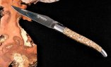Taschenmesser Laguiole en Aubrac, Edition ORGANIC 09, TROCHUS Schnecke, Double Platines, brosse Ansicht 3