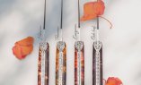 Taschenmesser Laguiole en Aubrac, Edition SECRET GARDEN OAK LEAF, Holunder, guillochierte Biene, brosse Ansicht 2