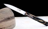 Taschenmesser Laguiole en Aubrac, ESPALION, Edition SCARPON 01, Mammutstosszahn, Plein, brosse Ansicht 1