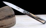 Taschenmesser Laguiole en Aubrac, ESPALION, Edition SCARPON 03, Mammutstosszahn, Plein, brosse Ansicht 1