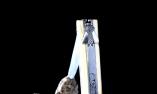 original-laguiole
