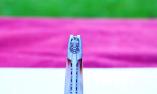 Taschenmesser Laguiole en Aubrac, Edition HUMMEL 3, guillochierte Biene, Brosse, Horn blond Ansicht 1