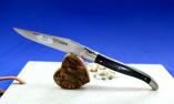 Taschenmesser Laguiole en Aubrac, guillochierte Biene, Ebenholz, brosse Ansicht 1