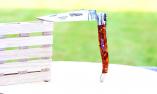 Taschenmesser Laguiole en Aubrac, guillochierte Biene, Popcorn, brillant Ansicht 1
