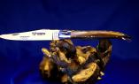 Taschenmesser Laguiole en Aubrac, Horn, double platines brillant Ansicht 1