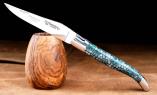 Taschenmesser Laguiole en Aubrac, Karton/Kunstharz türkis, guillochierte Biene, brillant Ansicht 1