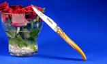 Taschenmesser Laguiole en Aubrac, PLEIN, Pistazienholz, Messing Ansicht 1