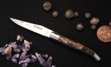 Taschenmesser Laguiole en Aubrac, Rosskastanie, guillochierte Biene, brosse Ansicht 2