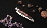 Taschenmesser Laguiole en Aubrac, Rosskastanie, guillochierte Biene, brosse Ansicht 5