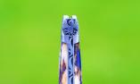 Taschenmesser Laguiole Honore Durand, BIG FIRE DRAGON, Giraffenknochen, 14C28 Stahl, brosse, 13 cm Ansicht 1