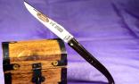 Taschenmesser Laguiole Le Fidèle guillochierte Platine Plein Ebenholz-MACASSAR, brillant Ansicht 1