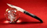 Taschenmesser Laguiole Philippe Voissiere Plein, Büffelhorn, brosse, Plein, guillochierte Biene Ansicht 1