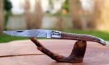 Taschenmesser Laguiole Tradition, guillochierte Biene, Damast, Rosenholz, brillant Ansicht 1