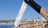 Taschenmesser Le Fidele, 20/20, Edition CHUMBABA-Adler, brosse, Horn Ansicht 1