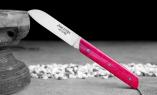 Taschenmesser Le Fidele, Edition EMMAS SEELE 17, brosse, Kamelknochen+Gravur Ansicht 1