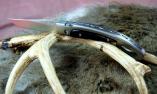 Taschenmesser Saladini, Edition SCARPERIA, Horn schwarz, brosse Ansicht 1