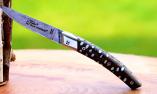 Taschenmesser Thiers Claude Dozorme, brosse, Kaktus white Damast Ansicht 1