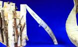 Taschenmesser Thiers Claude Dozorme, Edition SMALL JANNY 08, FlipDrop-System, Widderhorn, brillant, 11 cm Ansicht 1