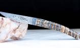 Taschenmesser Thiers Goyon-Chazeau, Edition NALA 05, Mammutbackenzahn, Damast, Pirou, Plein Ansicht 1