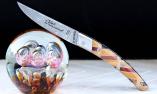 Thiers Claude Dozorme, Edition CHEZAM 03, Damast, Marqueterie, brosse Ansicht 1
