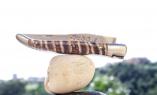 original-laguiole