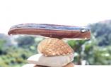 UNIKAT: Taschenmesser Laguiole du Barry, Edition BARRYLOS 14, Edelholz, brosse, guillochierte Biene, Plein Ansicht 1