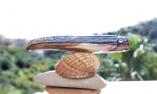 UNIKAT: Taschenmesser Laguiole du Barry, Edition BARRYLOS 19, Knochen, brosse, double Platines, Plein Ansicht 1