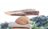 UNIKAT: Taschenmesser Laguiole du Barry, Edition BARRYLOS 20, Knochen, brosse, guillochierte Biene, Plein Ansicht 1