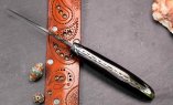 UNIKAT: Taschenmesser Laguiole du Barry, Edition BARRYLOS 49, 11 cm, Büffelhorn, brillant, guillochierte Platine Ansicht 2