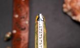 UNIKAT: Taschenmesser Laguiole du Barry, Edition BARRYLOS 51, 14 cm, Esche, brosse, guillochierte Biene Ansicht 5