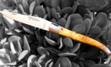 Unikat: Taschenmesser Laguiole en Aubrac, AURORA 04, brosse, Kastanienholz, guillochierte Biene Ansicht 1