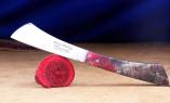 UNIKAT: Taschenmesser Le Fidele, ARCA ANDREA, Edition FIDELLOS 18, brosse, stabilisiertes Holz Ansicht 1