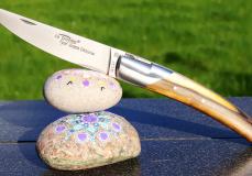 GOYON-CHAZEAU, Taschenmesser Thiers, Editin JOEL 15, Pistazie, brosse Taschenmesser - Handmade in France