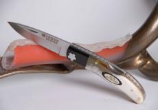 Taschenmesser Joker-SETTER mit Büffel / Griff, 8 cm, Backlock-Arretierung - Muschelschalen Taschenmesser - Handmade in France
